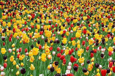 效果出色 《传送门》虚幻5粉丝自制实机演示分享